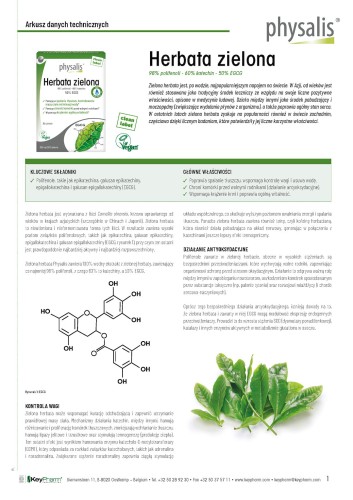 HERBATA ZIELONA EKSTRAKT (600 mg) 30 TABLETEK - PHYSALIS