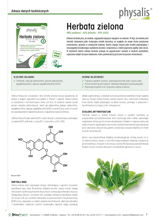 HERBATA ZIELONA EKSTRAKT (600 mg) 30 TABLETEK - PHYSALIS