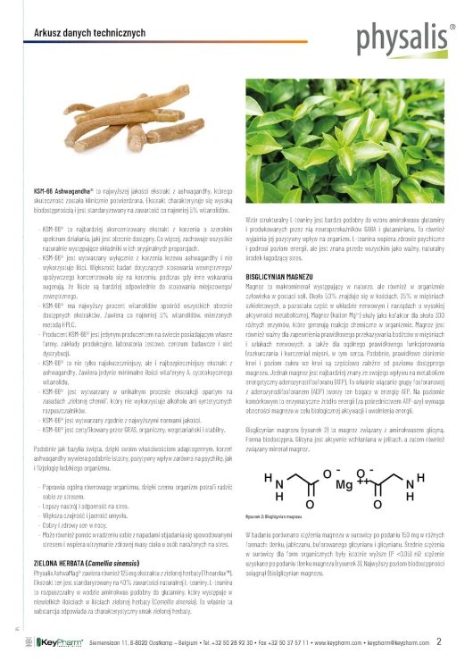 ASHWAGANDHA + MAGNEZ 30 TABLETEK - PHYSALIS