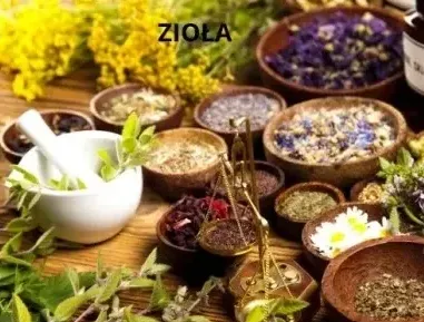 zioła
